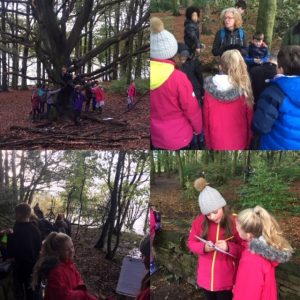 Yr5 & 6 Science in the environment