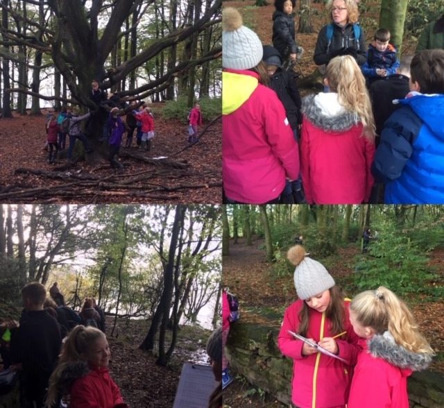 Yr5 & 6 Science in the environment