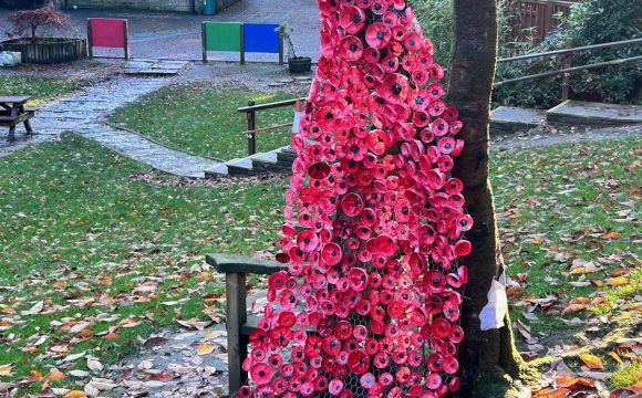 Remembrance Display 2023